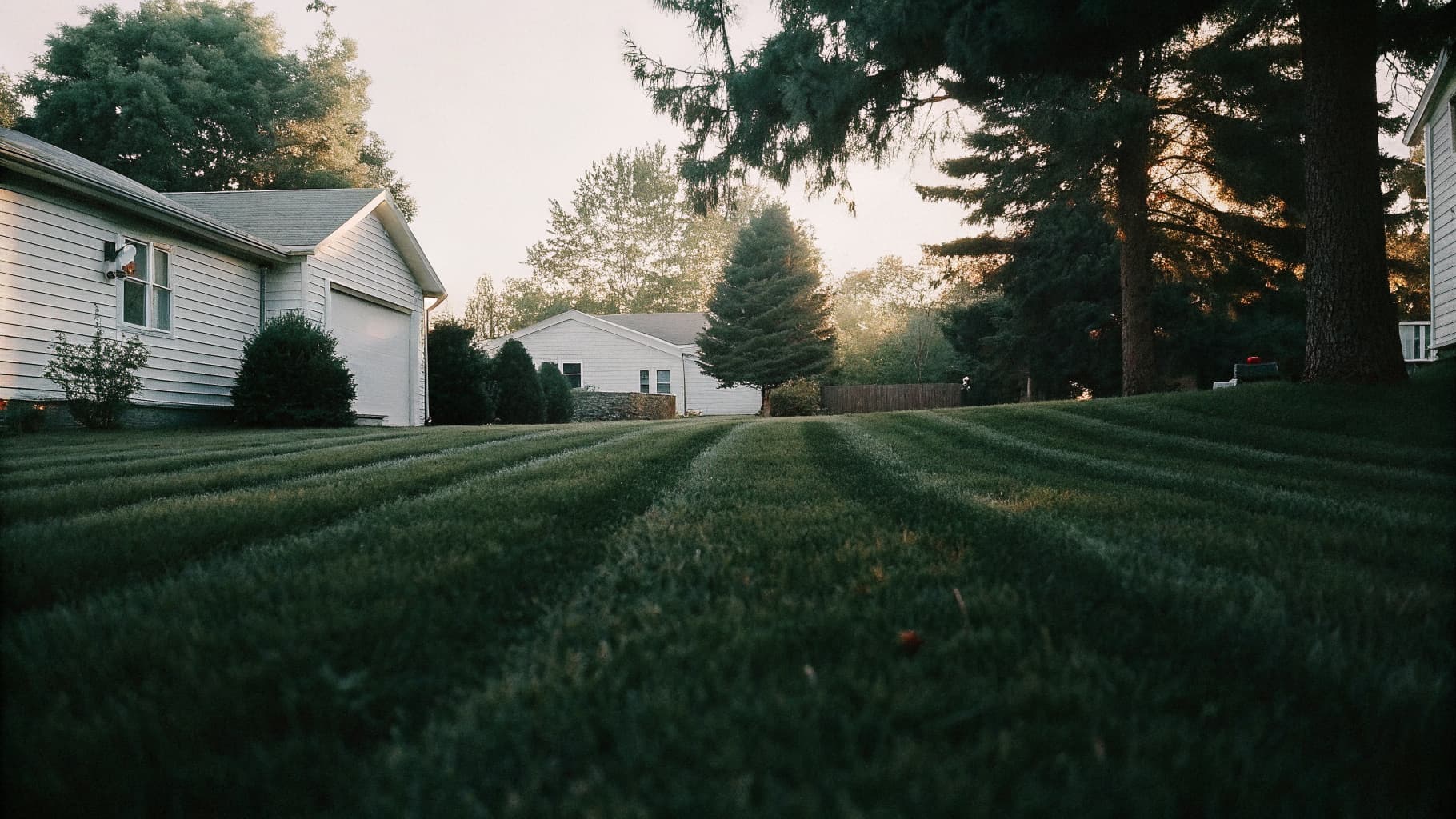 Lush green lawn in Evansville Indiana