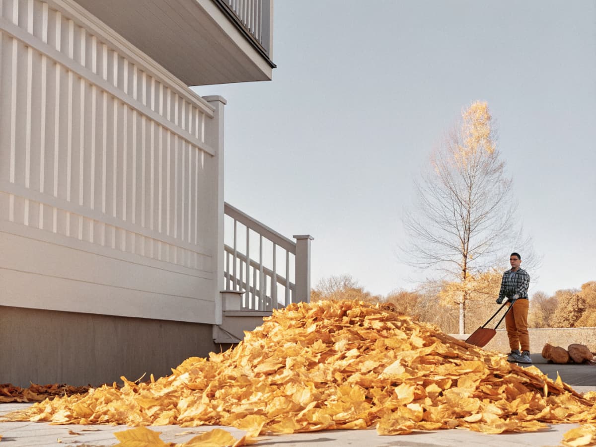 Yard clean up and leaf removal service in Evansville IN